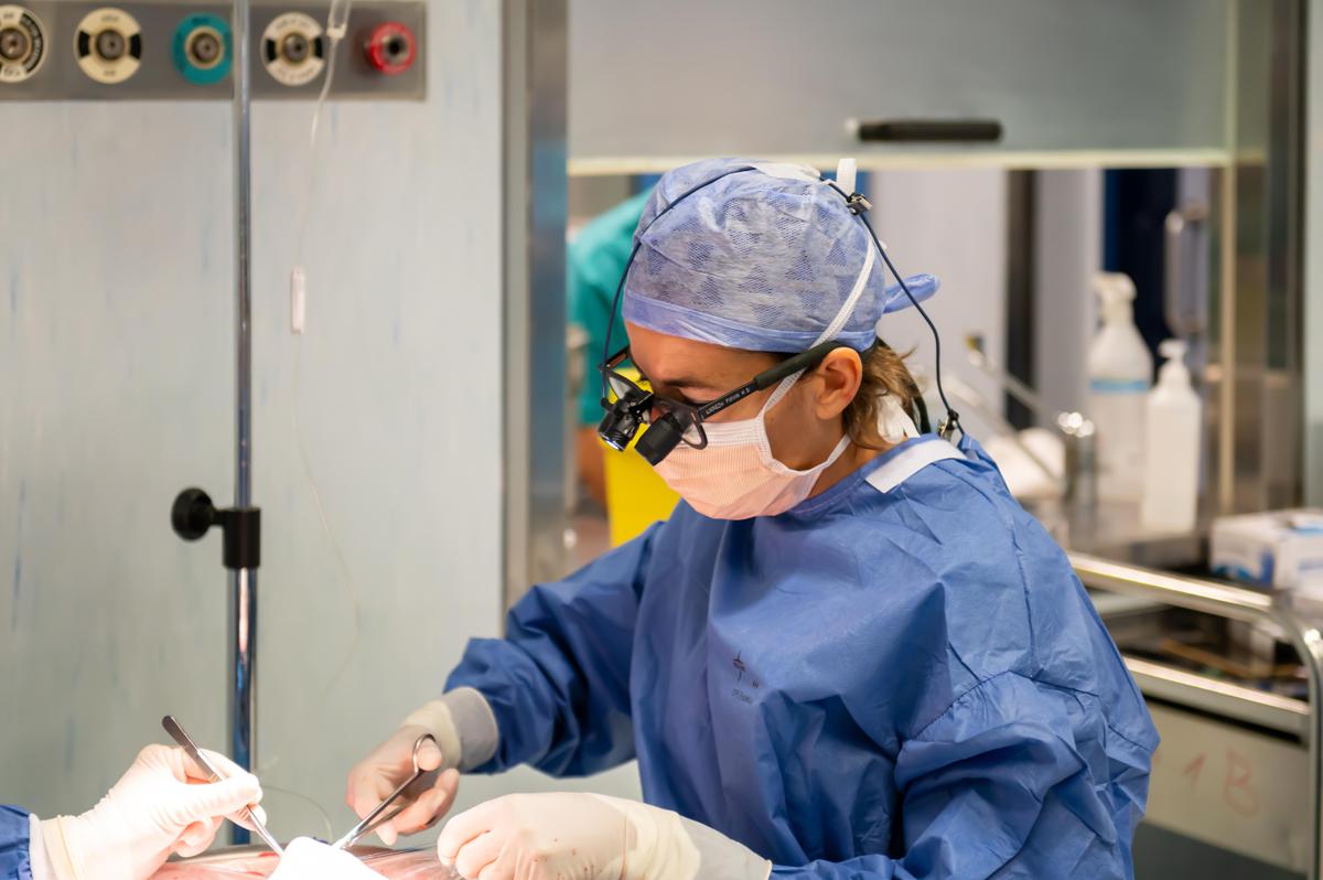 Trapianti, Padova protagonista del nuovo modello italiano per la donazione di reni