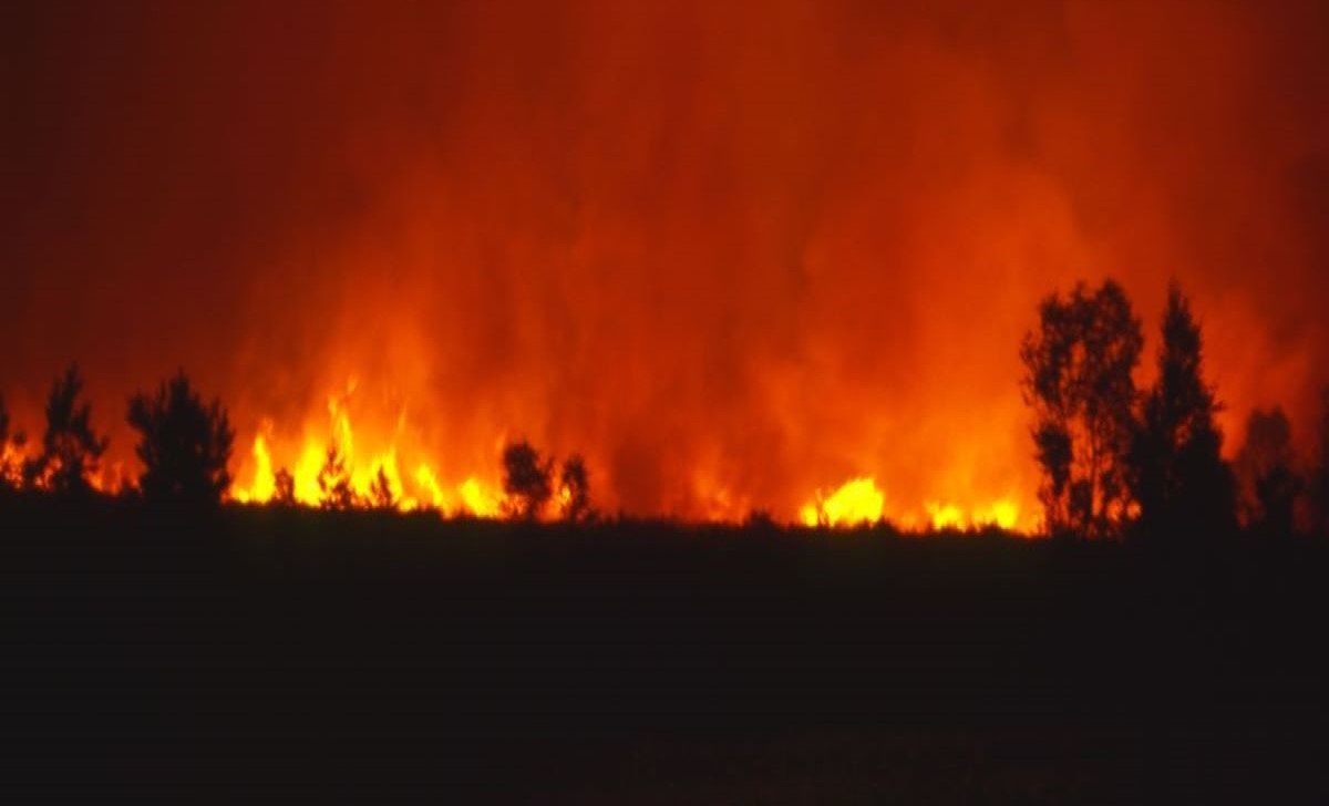 https://static.adhubmedia.com/notizie_it/wp-content/uploads/2026/08/a-17-anni-spegne-gli-incendi-vestito-da-superman-la-storia-di-rudiyansah-fbc8c599.jpg