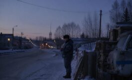 Abbattimenti di maiali nella regione di Tyumen: cosa sta succedendo