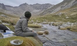 Alsodes pehuenche: la battaglia per proteggere l'anfibio minacciato dal progetto idroelettrico