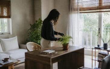 Biophilic design domestico: idee stanza per stanza a bassa manutenzione