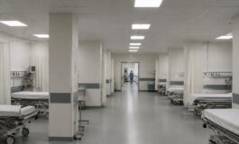 Cane randagio aggredisce due bambine a Noicattaro: una in rianimazione