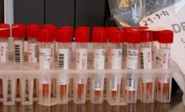 001-casi-sfondano-quota-quattromila-sale-preoccupazione