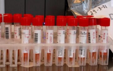 L'allarme OMS sull'epidemia di ebola in Congo