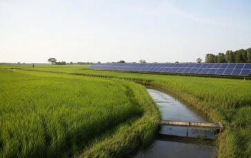 Energia in Bangladesh: perché le rinnovabili potrebbero essere la soluzione