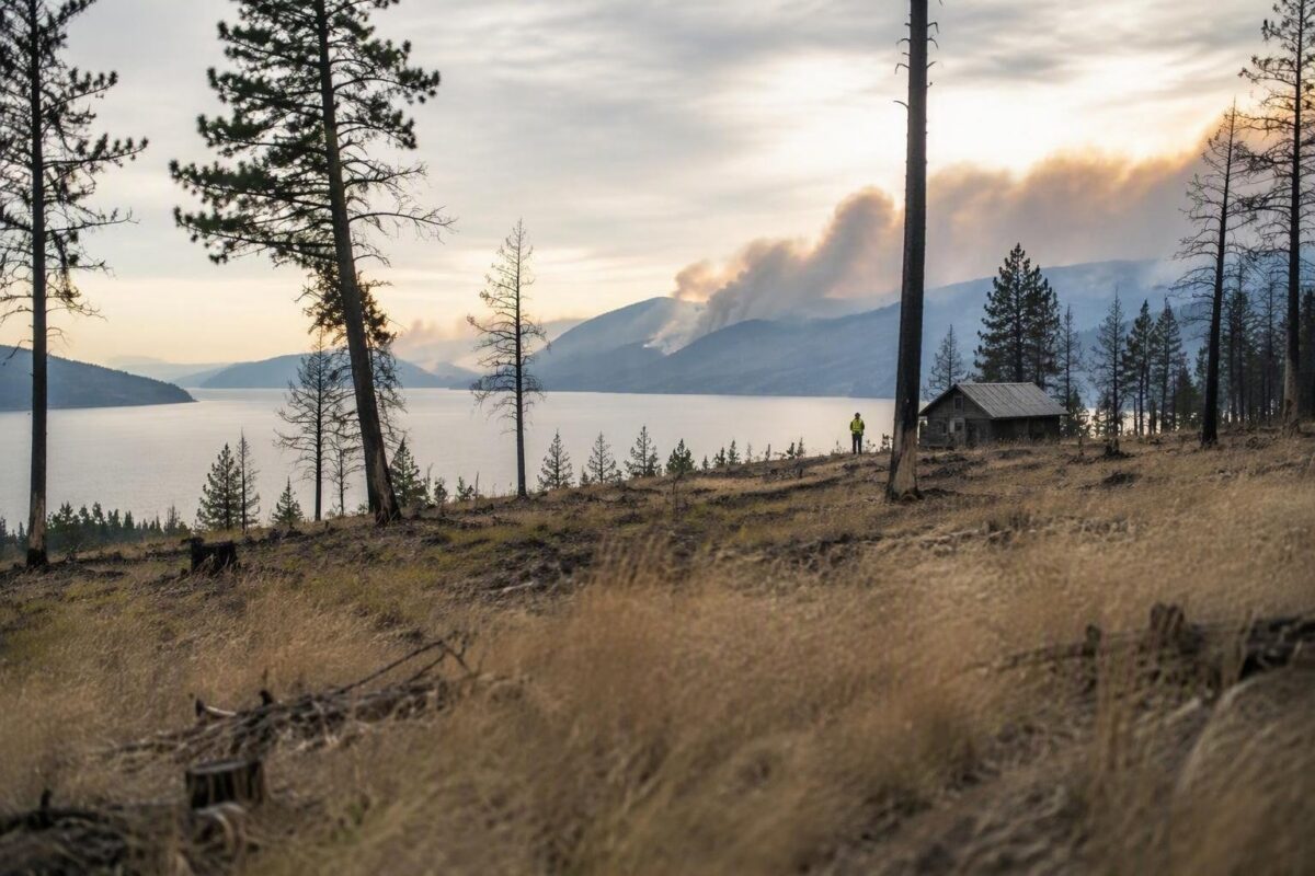 Incendi in British Columbia: lo stato di emergenza e le evacuazioni forzate