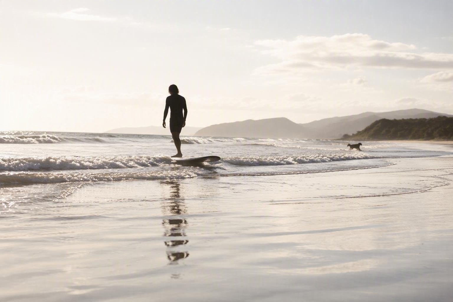 https://static.adhubmedia.com/notizie_it/wp-content/uploads/2026/08/laddio-commovente-di-un-surfista-al-suo-fedele-compagno-a-quattro-zampe-az-1786033593.jpg