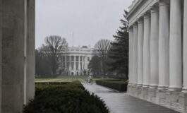 Le lettere di Natalie Harp a Donald Trump: rivelazioni e polemiche