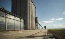 Materie prime alimentari: i dati FAO di luglio 2026