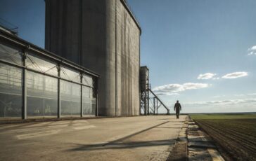 Materie prime alimentari: i dati FAO di luglio 2026