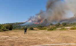 Protezione Civile impegna volontari in interventi continui contro incendi e siccità