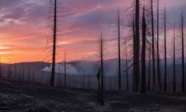 Siccità e caldo estremo: la crisi degli incendi in Washington e Oregon