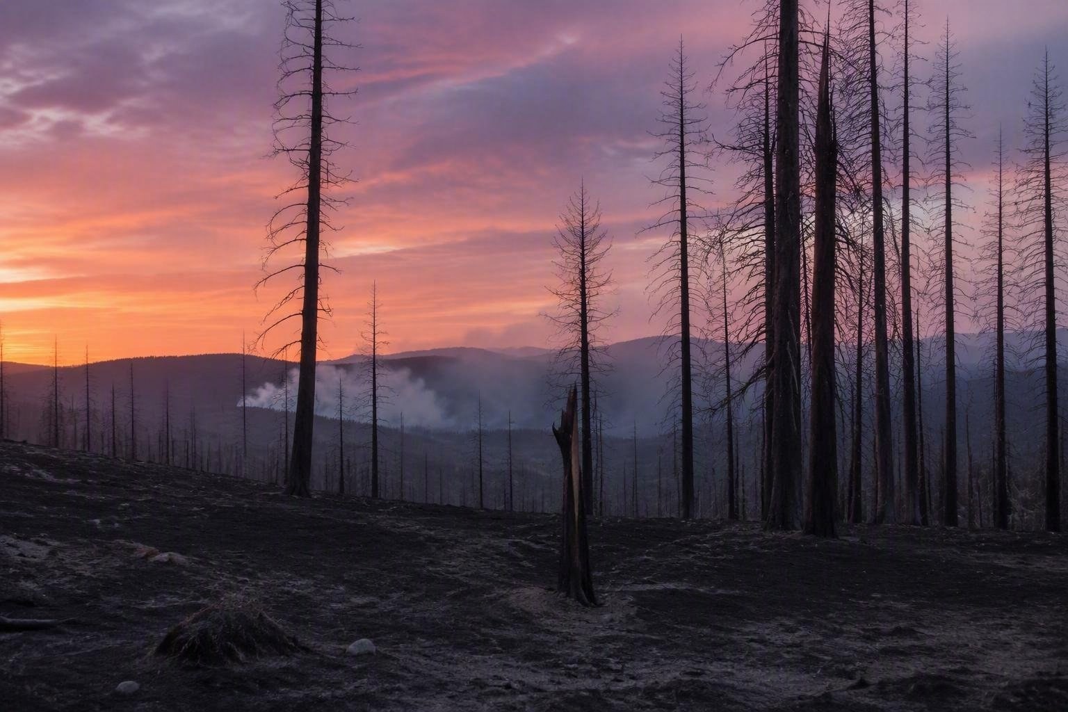 https://static.adhubmedia.com/notizie_it/wp-content/uploads/2026/08/siccita-e-caldo-estremo-la-crisi-degli-incendi-in-washington-e-oregon-az-1785816380.jpg