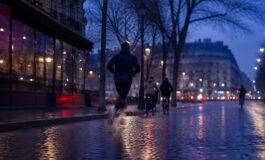 Social network e minori: la decisione della Corte costituzionale francese