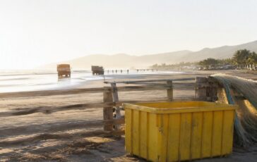 Terremoto a Flores: l'allarme tsunami e le istruzioni per l'evacuazione