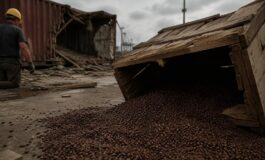 Terremoto in Colombia: il blocco delle esportazioni di caffè arabica preoccupa il mondo