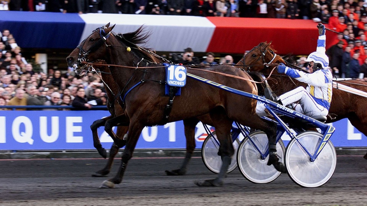 Il mondo dell'ippica piange Varenne, il famoso cavallo è morto all'età di 31 anni