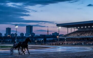 Varenne, il cavallo campione: la vita e i successi di un'icona sportiva