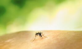 virus west nile