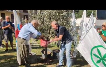 A Pontida il tributo a Bossi Calderoli e Leoni piantano un ulivo e cantano Va pensiero 364x230