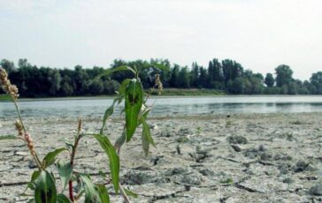 Agosto mese piu caldo mai registrato estate piu rovente di sempre per lEuropa occidentale 364x230