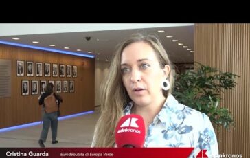 agricoltura guarda verdi pac e ocm fondamentali per il futuro del settore in europa 3