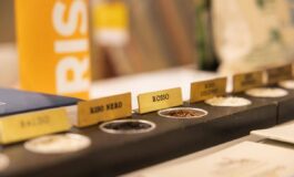 Agroalimentare Ismea a Riso a Vercelli dall11 al 13 settembre ﻿ 265x160
