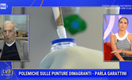 Allarme punture dimagranti lavvertimento di Garattini I rischi per lo stomaco sono altissimi 265x160