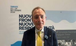 Annunziata C3i Cni Dalla Guida pratica allAi risposte alle esigenze degli studi professionali degli ingegneri 265x160