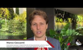 Attrv Pn Ceccanti La Sapienza In Italia circa 6 casi per milione di persone 265x160