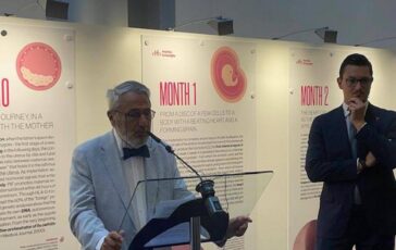 brandi pro vita a just euman si torni a padri fondatori che difendevano vita aborto la sopprime 2