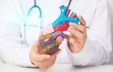 Cardiomiopatia ipertrofica ostruttiva Terapia innovativa efficace e sicura a 5 anni 364x230