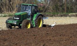 Caro carburanti ed energia Filiera Italia lancia lallarme Agricoltori schiacciati tra alti costi di produzione e prezzi bassi 265x160