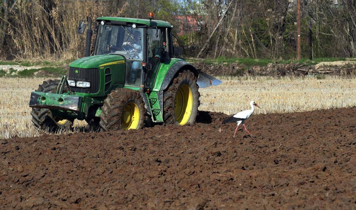 Caro carburanti ed energia, Filiera Italia lancia l'allarme: "Agricoltori schiacciati tra alti costi di produzione e prezzi bassi"