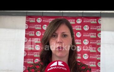 Centrosinistra Braga Pd Primarie Non saranno laceranti Schlein in campo 364x230