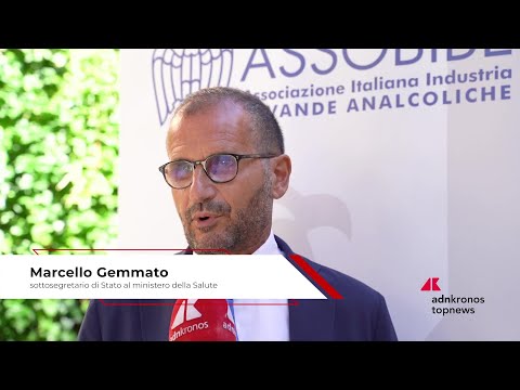 Economia: Gemmato (MinSal), 'Sugar tax: meglio informare e convincere i giovani che tassare'