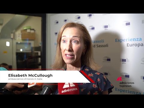 Europa: McCullough (ambasciatrice d’Irlanda), 'Competitività, valori e sicurezza al centro della