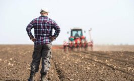 Gli offrono 700mila euro ma un agricoltore rifiuta e non vende il suo terreno 265x160