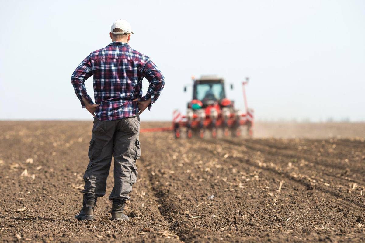 Gli offrono 700mila euro, ma un agricoltore rifiuta e non vende il suo terreno