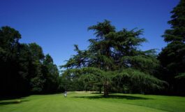 Golf al via il Buccellati Ladies Italian Open sul green di Monza le piu grandi atlete europee 265x160