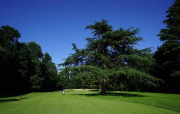 Golf al via il Buccellati Ladies Italian Open sul green di Monza le piu grandi atlete europee 364x230