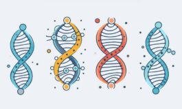 I geni non sono destino essere attivi e ridurre cibi ultraprocessati taglia rischio diabete 265x160