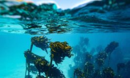 In Alaska un 15enne sopravvive due giorni in mare aggrappato a barca capovolta morto il fratello 265x160