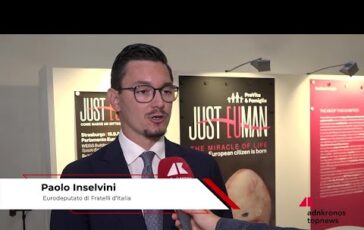 Inselvini FdI AllEuroparlamento si difende piu le uova degli uccelli che la vita nel grembo 364x230