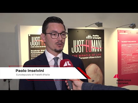 Inselvini (FdI): “All’Europarlamento si difende più le uova degli uccelli che la vita nel grembo”