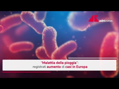 Malattia della pioggia, aumento dei casi in Europa