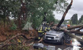 Maltempo a Roma albero caduto sullauto chi paga i danni La risposta degli esperti 265x160