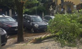 Maltempo a Roma ramo cade fuori liceo a Coppede feriti 3 studenti 265x160