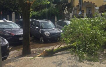 Maltempo a Roma ramo cade fuori liceo a Coppede feriti 3 studenti 364x230