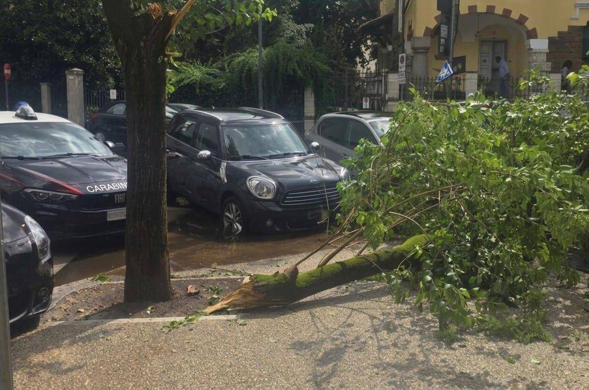 Maltempo a Roma, ramo cade fuori liceo a Coppedè: feriti 3 studenti